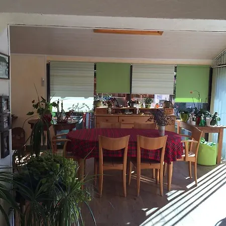 Chez Natalex